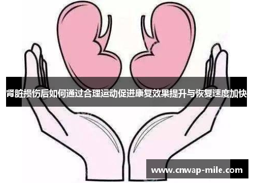 肾脏损伤后如何通过合理运动促进康复效果提升与恢复速度加快