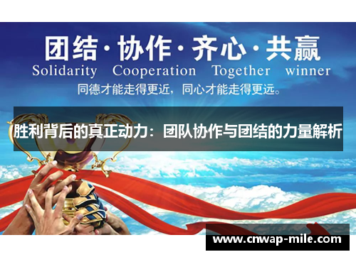 胜利背后的真正动力：团队协作与团结的力量解析