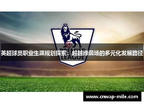 英超球员职业生涯规划探索：超越绿茵场的多元化发展路径