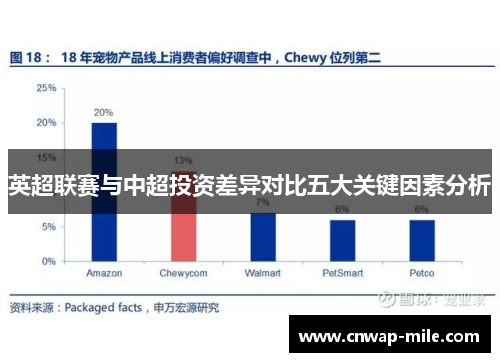 英超联赛与中超投资差异对比五大关键因素分析