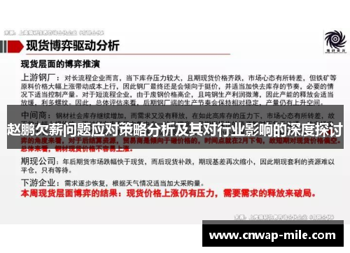 赵鹏欠薪问题应对策略分析及其对行业影响的深度探讨