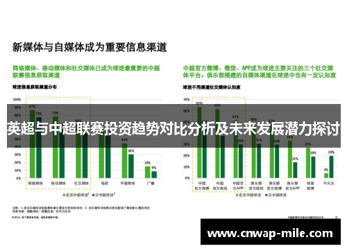 英超与中超联赛投资趋势对比分析及未来发展潜力探讨