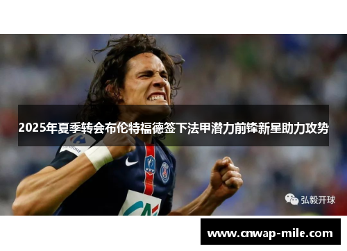 2025年夏季转会布伦特福德签下法甲潜力前锋新星助力攻势