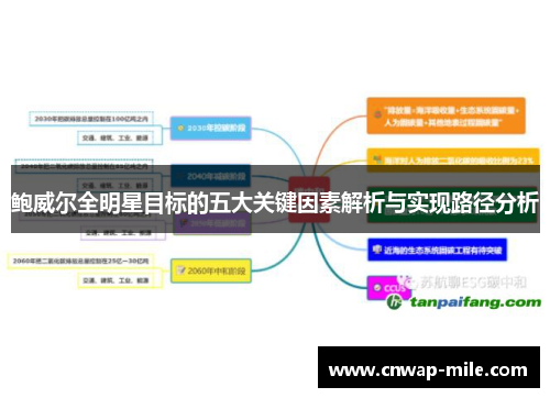 鲍威尔全明星目标的五大关键因素解析与实现路径分析